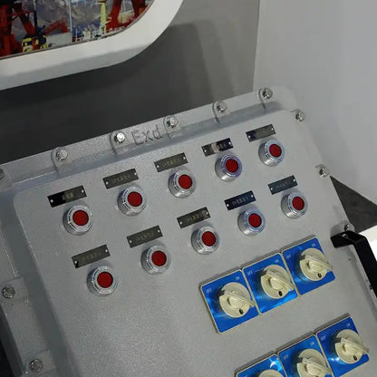 Explosion-Proof Distribution Box BXM(D/X)-III Customer customization