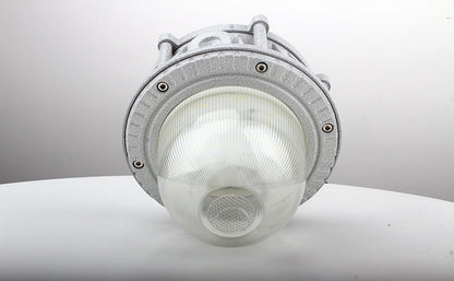 Explosion proof LED light BED60-30W 50W 60W 70W 80W 100W